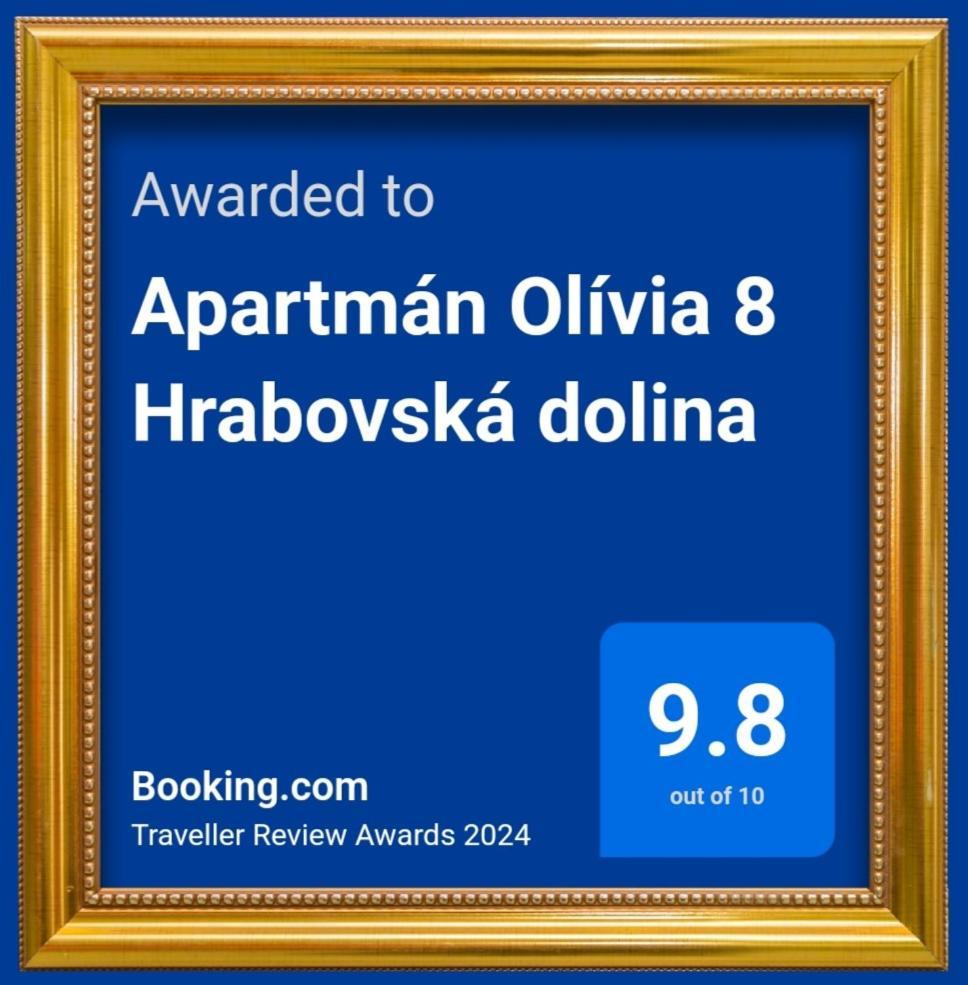 רוז'ומברוק Apartman Olivia 8 Hrabovska Dolina מראה חיצוני תמונה